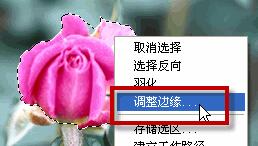 ps怎么抠出一部分并移动_ps只保存抠图的部分_ps怎么用通道抠头发丝