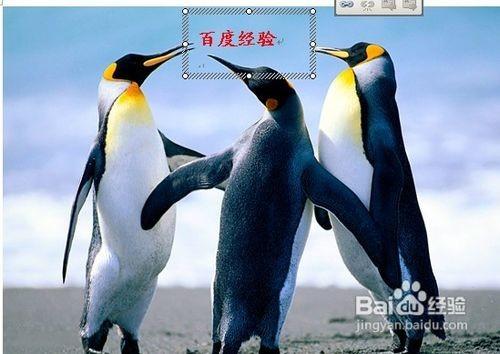 word2010中如何给图片加水印