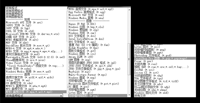 软件支持多种格式