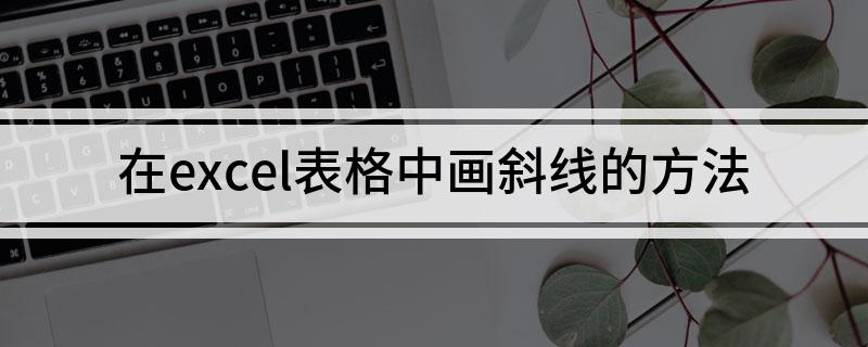 在excel表格中画斜线的方法