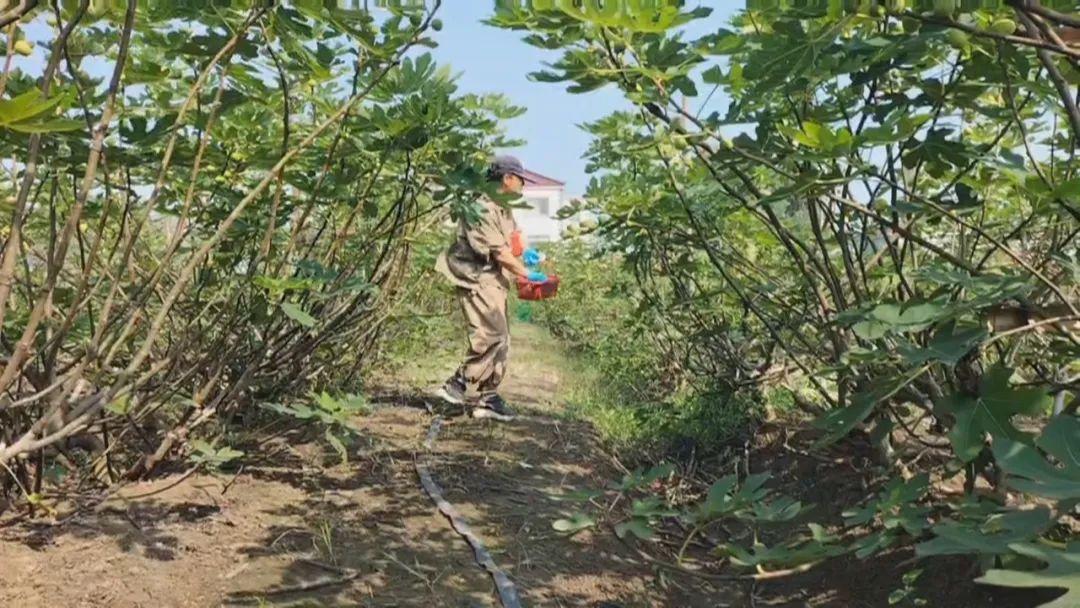 南京学视频剪辑_南京短视频拍摄剪辑培训班_南京视频剪辑培训机构哪个好