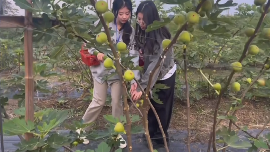 南京视频剪辑培训机构哪个好_南京学视频剪辑_南京短视频拍摄剪辑培训班