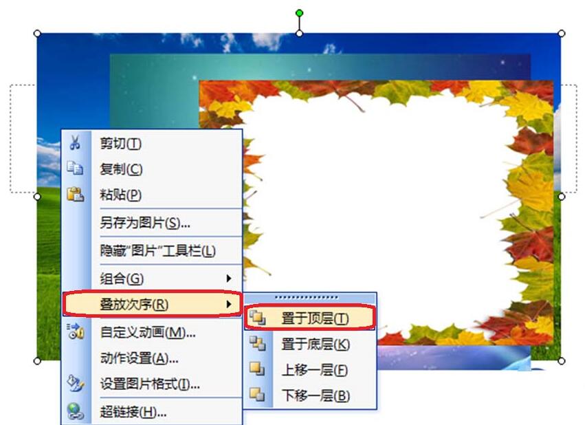 ppt图片位置怎么调整_图片位置调整_wps移动图片位置调整