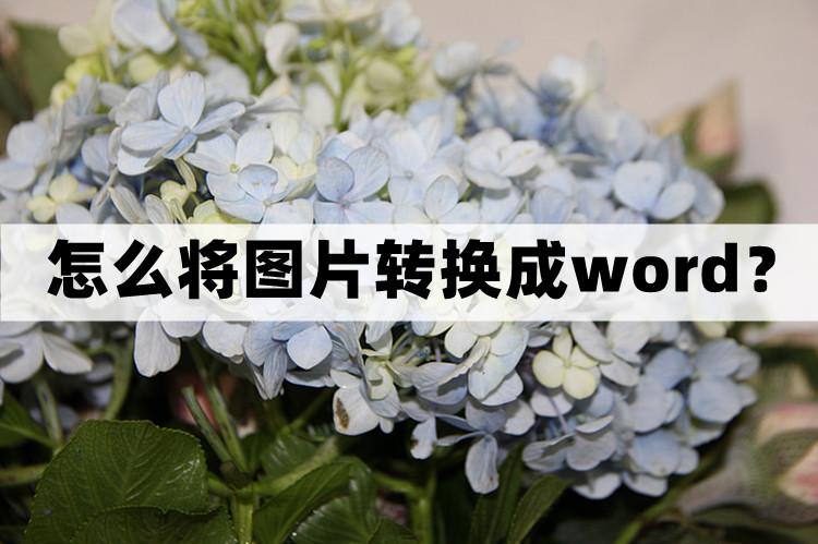 怎么将图片转换成word文档？三个好用的方法分享