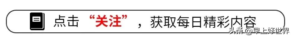 word打开密码忘了_word文档忘记密码如何打开_word文档忘记密码怎么打开