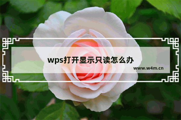 wps打开显示只读怎么办